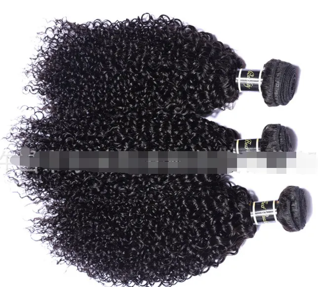 Live Export Wig – 100% Malaysian Hair Extension for a Natural Look